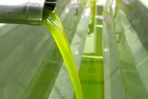 Extra virgin olive oil - Factory